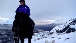preview picture of video 'horseback riding mountain oct 2012. www.stallholtaas.no'