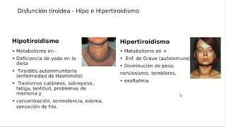 Tiroides, Paratiroides y Suprarrenales - Digestivo, Renal y Endócrino