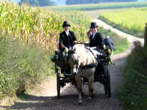 Jod Jek - Zumpelveld