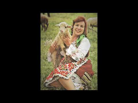 Vaska Ilieva so orkestarot na Goce Ristevski- Marie Mlada Nevesto