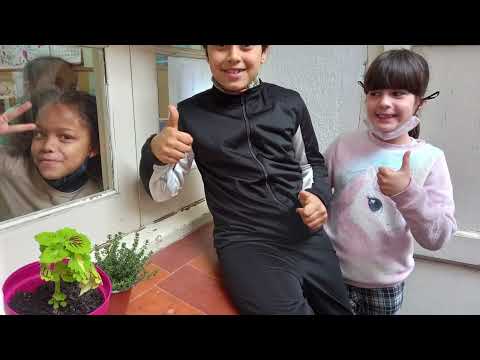 preview video