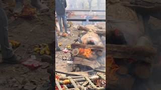 Download lagu Don't Trust This Aghori 🤦🏻♀️😳 | #shorts | #banaras | #varanasi | #kashi | #vadakkan mp3 Download lagu Don't Trust This Aghori 🤦🏻♀️😳 | #shorts | #banaras | #varanasi | #kashi | #vadakkan mp3