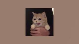 Cover art for Notion (sped up)