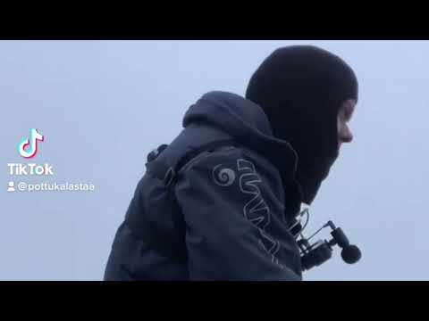 Pottukoira kalastaa extra- marraskuun möykky ahvenia livessä orkalla