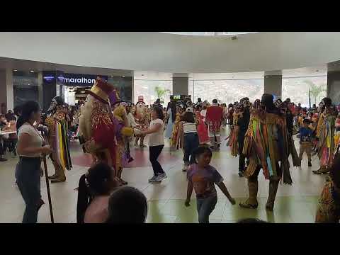 COFRADIA DE NEGRITOS REAL JUNIN - HUANUCO "Huanuqueñita Pretenciosa & San Pedrinita".