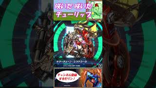【禁止】二度と咲くんじゃねぇよ【クソチューリップ】