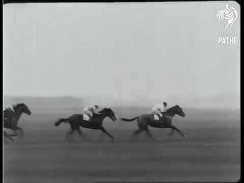 Sensational Cesarewitch AKA Sensational Cesarwitch 1924   YouTube