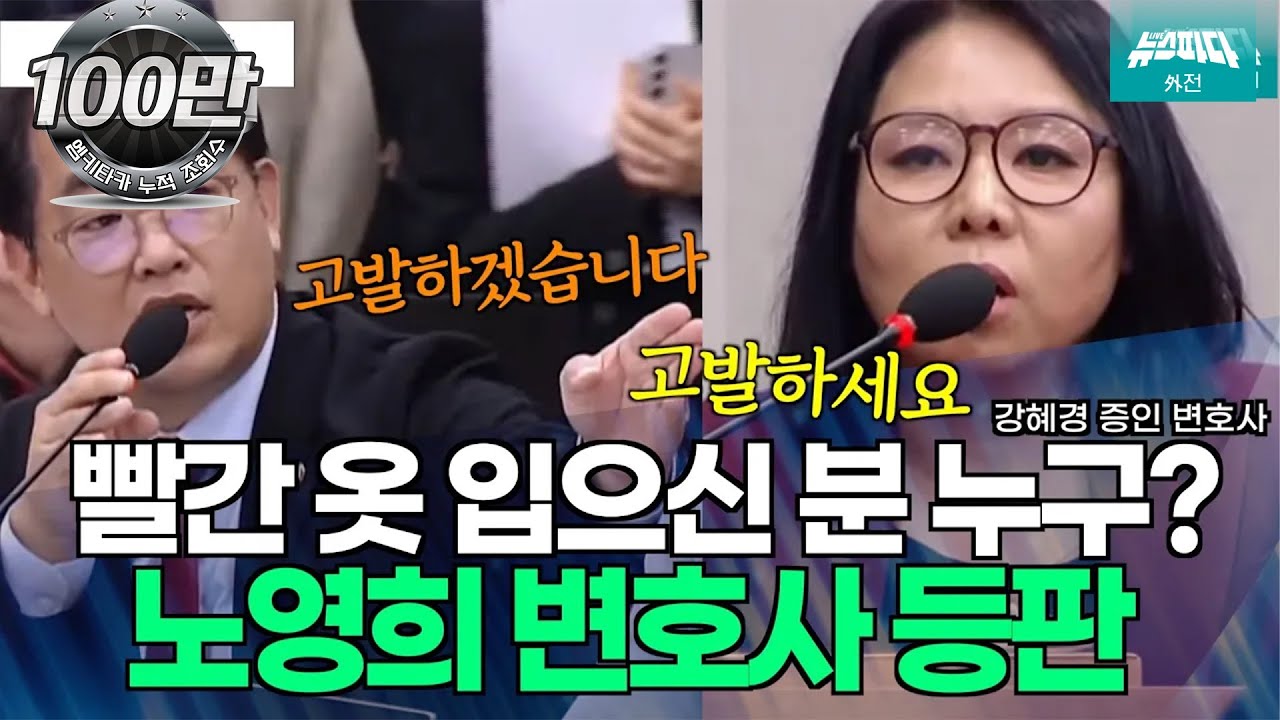 "고발하겠습니다!" "고발하세요!" 국감장에 등장한 빨간 옷의 정체는?  #노영희 변호사