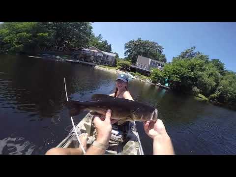 Flog 65: Lake Whalom