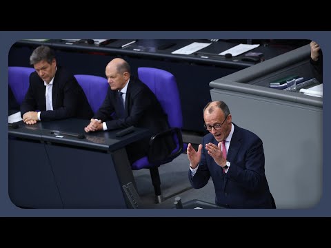 Video Thumbnail: AfD stimmt für CDU-Antrag: Was war los im Bundestag? | #analyse