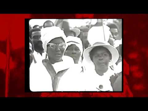 Blvk H3ro (Black Hero) x Wayne J - The Ruler (official Visualizer) - New Millennium (EP)