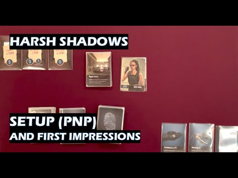 Setup and first impressions (PNP version)