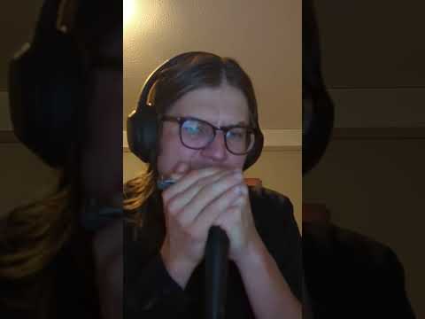 Canned Heat - On the road again (harmonica cover)