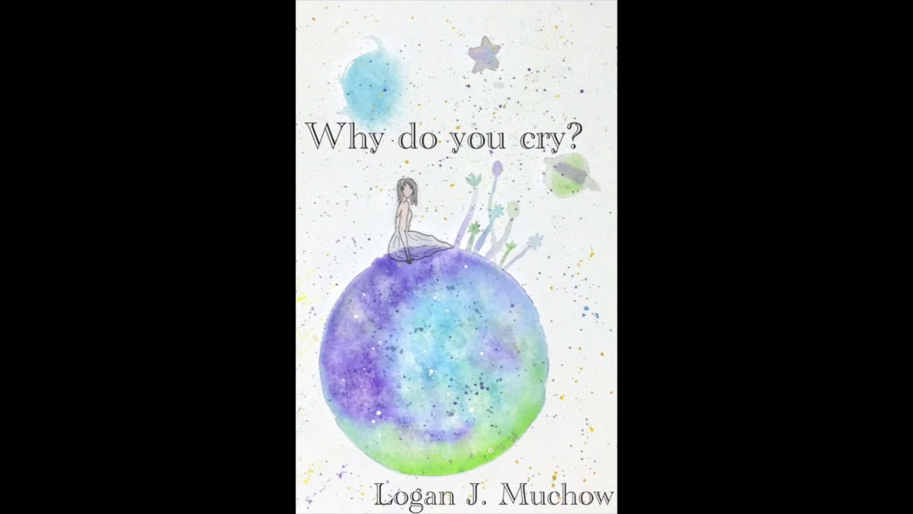 Promotional video thumbnail 3 for Logan J. Muchow Music
