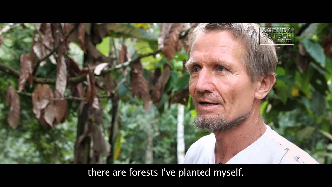 Seleção de Áreas | Agricultura Sintrópica | Agenda Gotsch