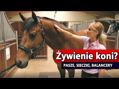 Kompleks witamin dla włosów i skóry Petersburg leczenie klinika włosów