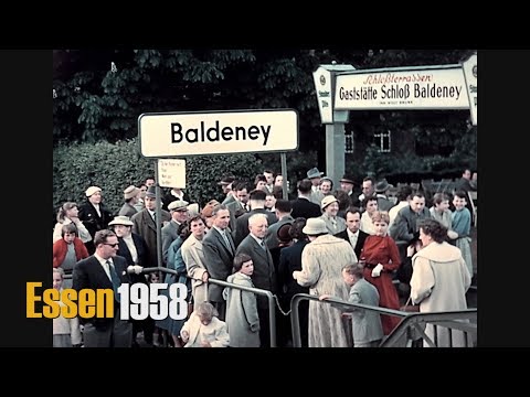 Ruhrgebiet 1958: Essen, Baldeney-See, Vogelpark