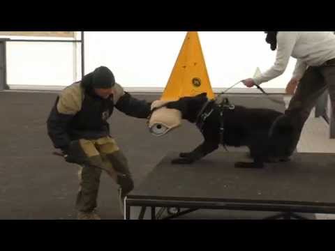 Ackey Levemar protection 2/2015