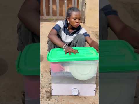 New update 😂😂😂As everything don cost ….