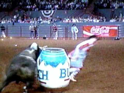 WaceyPlayboyBullMania.AVI