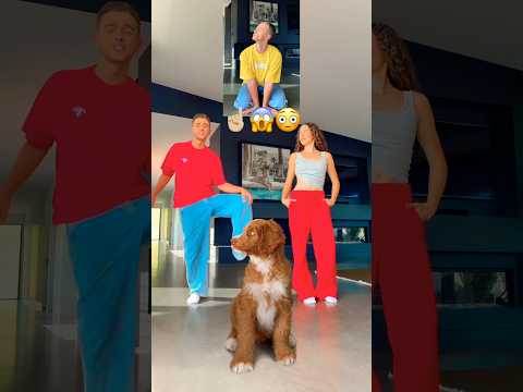 Puppy Dance Class! 😱🐶 BEHIND THE SCENES! 🎥🤣 #puppy #dance #viral