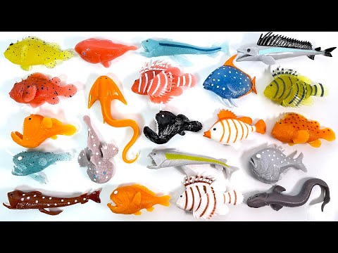 SEA MONSTERS & Co. Mini Complete set "unboxing" Luminous Squishy Deep-sea fish Figure Toys