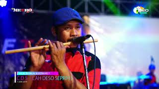 Download lagu LUKA LAMA - AMEL PUTRI - NEW METRO Pasti...Aja!!! - live Batang Jawa Tengah mp3