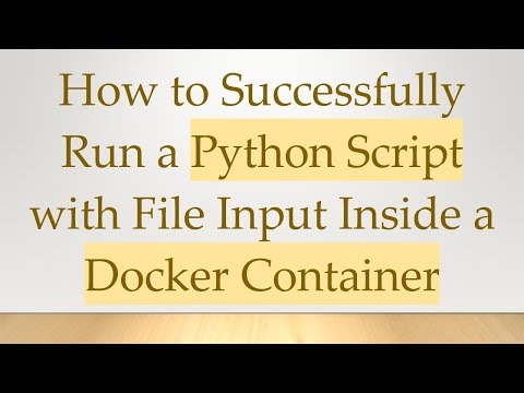 How to Successfully Run a Python Script with File Input Inside a Docker Container
