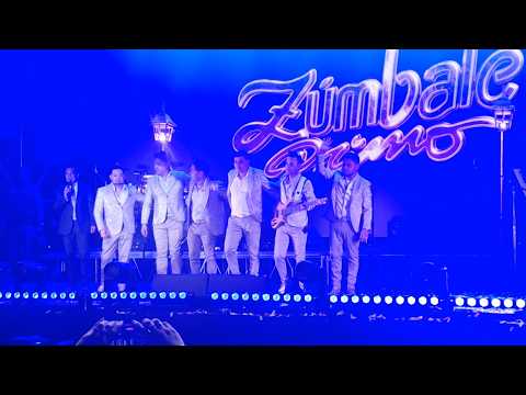 Zumbale Primo en Traiguen