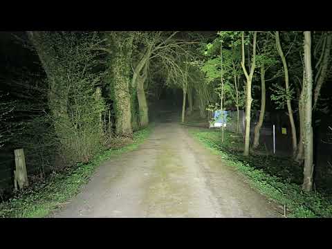 Noctigon DM1.12 SFT40 6500k + 12xSST20 5000k tint ramping