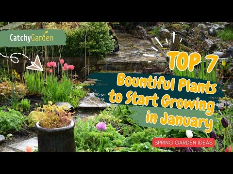 1月に成長を始めるのに欠かせない7つの豊富な植物 🥦🌺🥬️ // ガーデニングのアイデア