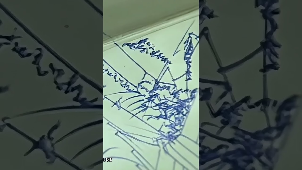 PHILOMENA (Enhanced 4K)