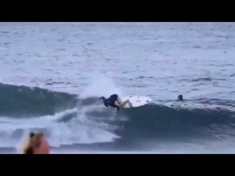 Julian Wilson the best moment of 2016 freesurf|| motivation