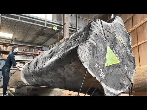 Incredible planks from a rare cedar tree