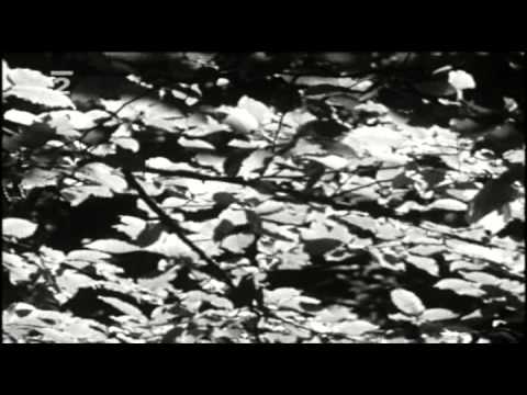 Petr Rezek -  S písní lesů, vod a strání (1975)