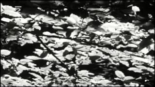 Petr Rezek - S písní lesů, vod a strání (1975) Petr Rezek - S písní lesů, vod a strání (1975)