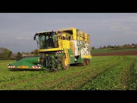 Récolte d'épinards avec une Ploeger MKC-2TR (Vues aérienne)-Harvest Spinach with a Ploeger MKC-2TR
