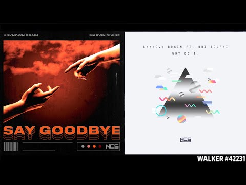 Say Goodbye ✘ Why Do I [Remix Mashup] - Unknown Brain (ft. Marvin Divine & Bri Tolani)