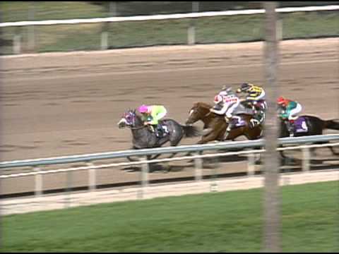 1993 Breeders' Cup Sprint