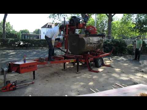 Mobiele boomzaag zaagt een dikke eik.