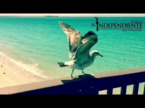 El remanso de ilusión de La Paz... #Disfrútalo