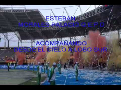 "ESTEBAN LOBO SUR" Barra: Lobo Sur &bull; Club: Pereira