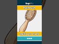 hairbrush - cepillo para el pelo video thumbnail