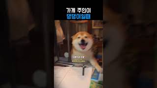 Download lagu 단골가게 주인이 댕댕이일때 mp3