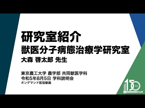 共同獣医学科 研究室紹介 獣医分子病態治療学研究室 大森啓太郎先生