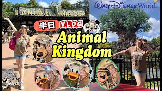 半日アニマルキングダムDAY 🎬✨課金で時間もセーブ!夕方6時閉園で焦るジュリー?!ショーも見逃せない😆