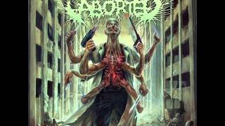 Aborted - The Davidian Deceit