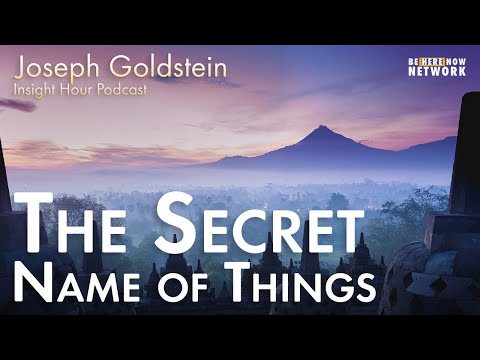 The Secret Name of Things with Joseph Goldstein – Insight Hour Ep. 138