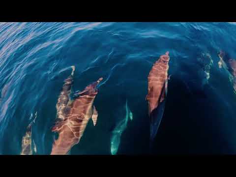 Sandi Hotel - Paralaxis Estúdio