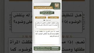 10479 -  أثر مس عورة الطفل حال تنظيفه على الوضوء -  نور على الدرب image